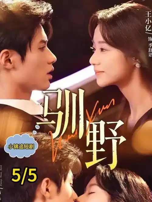 少年游侠传武侠剧全集